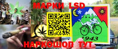 кокс Обь