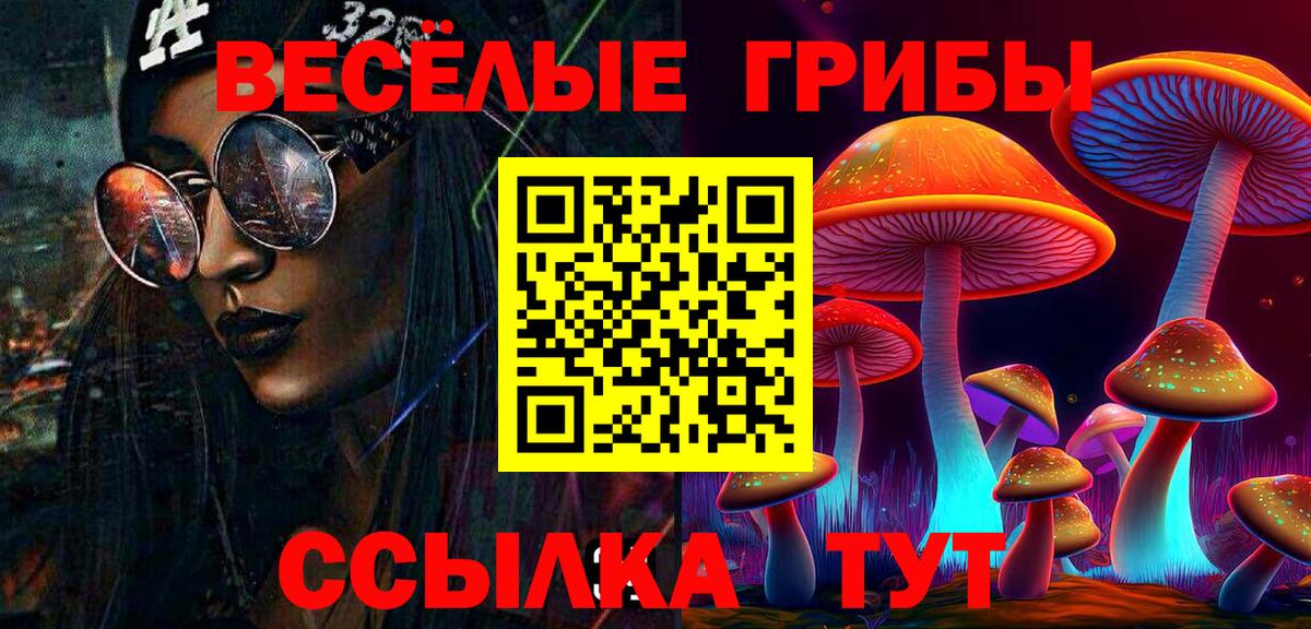 Ртищево  Псилоцибиновые грибы прущие грибы  наркота  Вход с VPN 
